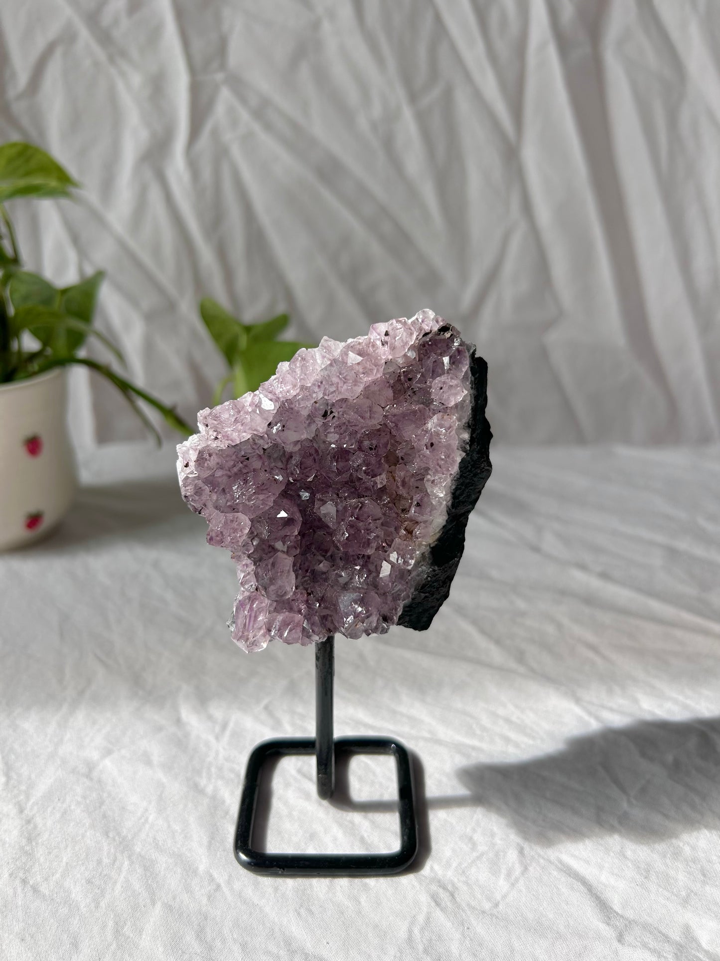 Amethyst cluster on stand